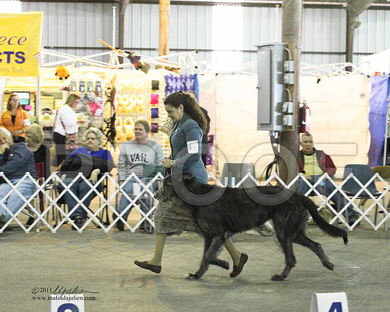 Group Hound Saturday - 0004-2