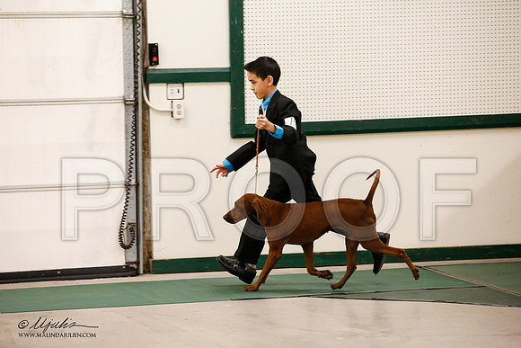 _JN_0602-NrmnNov2014-HR3
