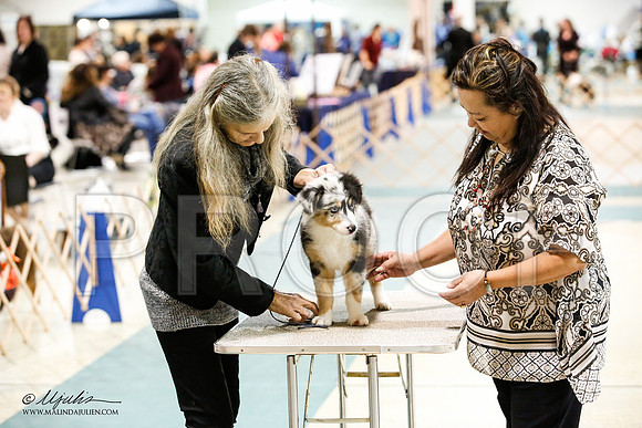 _JJ_0871-ASCACollegeStationNov2014-HR3