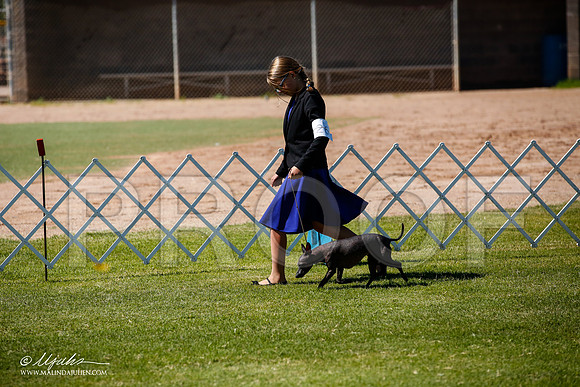 _JJ_8572-AlamogordoOct2014-HR3