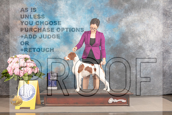 Brittany #29 THUR WD NCH Major Judge Timothy Catterson_MJ_4081_Houston_2022_HR3