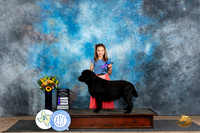 Labrador Retriever #14 Fri WB Judge Vicki Abbott