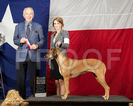 _ST_1695-AmarilloSep2014-HR3