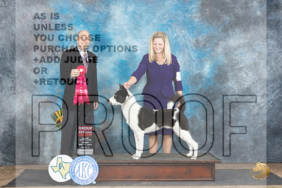 Canaan Dog #5 Fri G2 Judge Larry Abbott__JP_9540_Abilene_2024_HR3