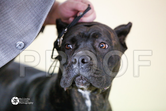 Cane-6041-HtoJan14-HR