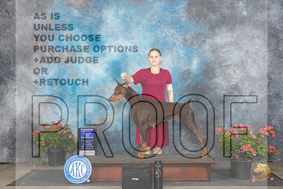 Doberman Pinscher #26 Sat WBBOW Judge Bridget Brownn__JP_5115_San Antonio_2024_HR3