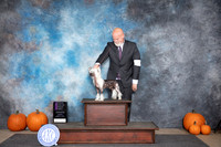 Chinese Crested #7 Sat OHG1 Judge Ann Roth