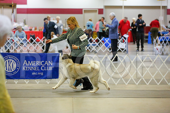_JJ_6948-AmarilloSept2014-HR3