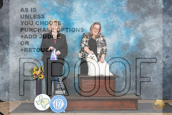 Maltese #9 Sat BOWM Judge Vicki Abbott__JP_0040_Abilene_2024_HR3
