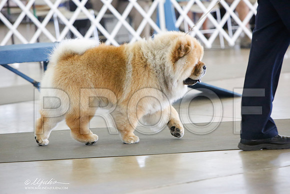 _JJ_9184-DallasJul2014-HR3