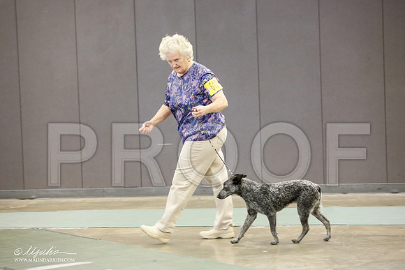 _JN_2567-BeltonJan2015-HR3