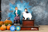 American Eskimo #9 BOB Judge Shelley Hennessy