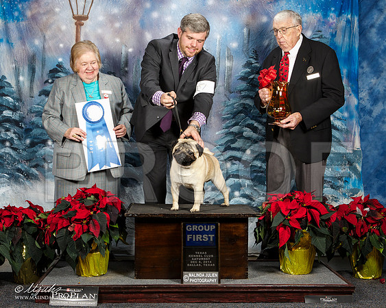 _ST_8839-DallasDec2014-HR3