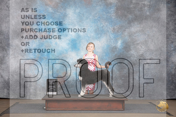 Poodle Standard #112 Sat Sun PreJR 1 place Judge Jennifer Landers Matthew Proctor__JP_2849_LongviewTX_2024_HR3