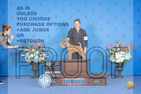 Lakeland Terrier #5 FRI WD BOW Judge Sandra Lex__JP_9482_Houston_2024_HR3
