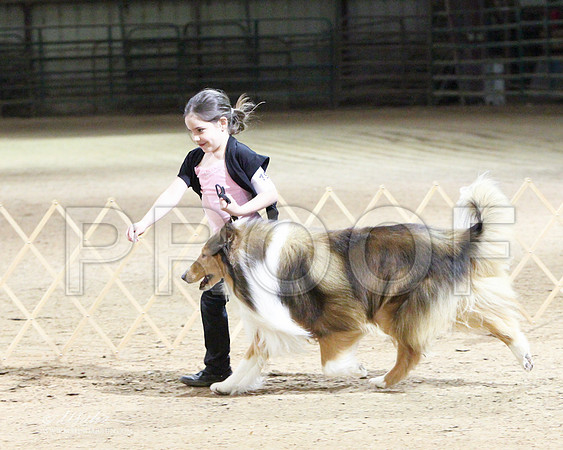 RAmBred-7898