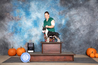 Miniature Bull Terrier #6 Sun G4 Judge Jan Paulk