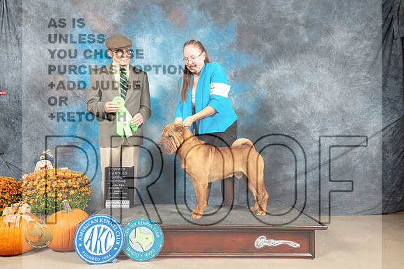 Chinese Shar Pei #5 Sun OHG3 Judge Dan Dowling_MJ_6900_Belton_2022_HR3