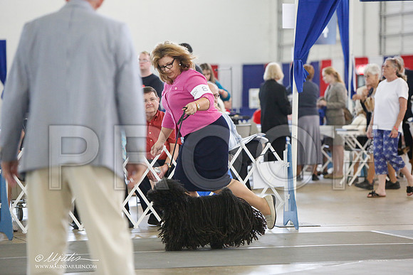 _JJ_3129-DallasJul2014-HR3