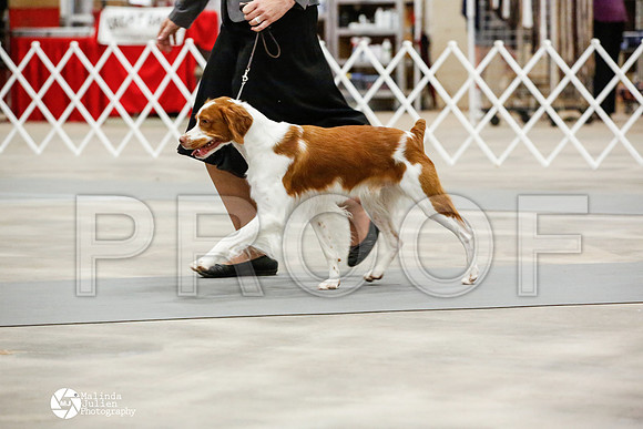 _JN_0153-AblnMay2014-web