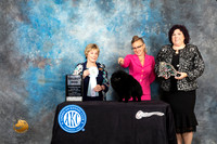 Pomeranian #45 Fri2 SD Judge Sharon Masnick
