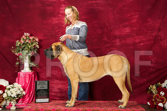 _ST_2673-BeltonJan2015IABCA-HR3
