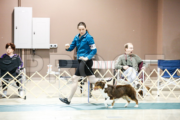 _JJ_8060-ASCACollegeStationNov2014-HR3