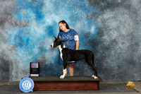 Great Danne #12 Sat PBOBG1 Judge Nancy Simmons