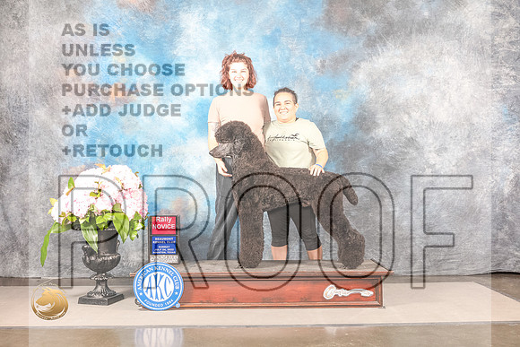 Poodle Standard #92 FRI Rally Judge?Poodle Standard #92 FRI Rally Judge?_MJ_7988_Houston_2022_HR3_Houston_2022_HR3