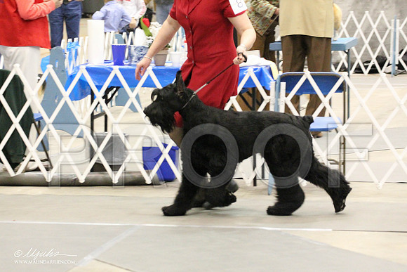 IMG_8784-Abilene2011-HR3