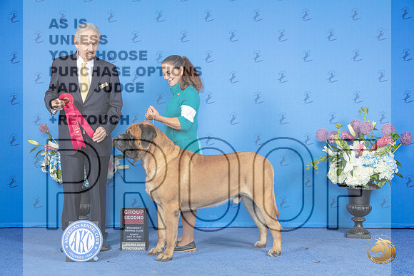 Mastiff #7 SUN G2 Judge James Moses__JP_0838_Houston_2024_HR3