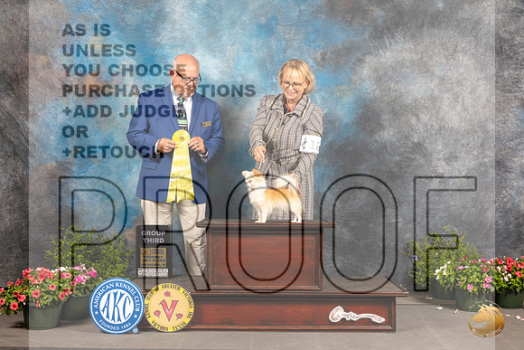 Chihuahua Long Coat #12 Sat G3 Judge Robert Shreve_MJ_0402_SA_2022_HR3