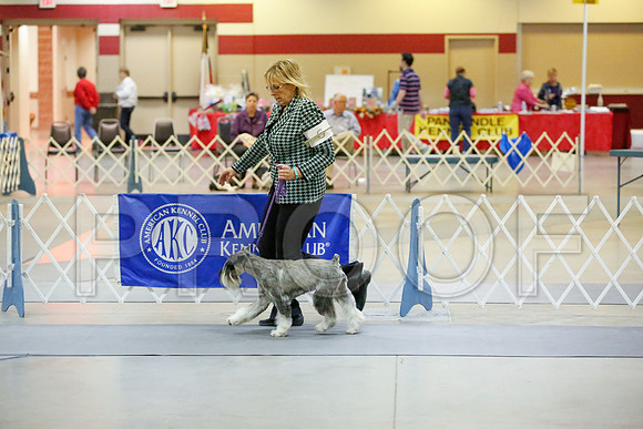 _JJ_7557-AmarilloSept2014-HR3