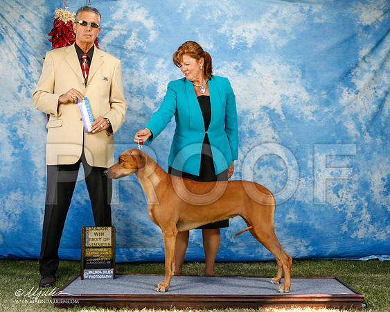 _ST_3179-2-AlamogordoOct2014-HR3