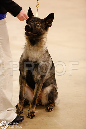 HERDING-9932-Waco14-HR