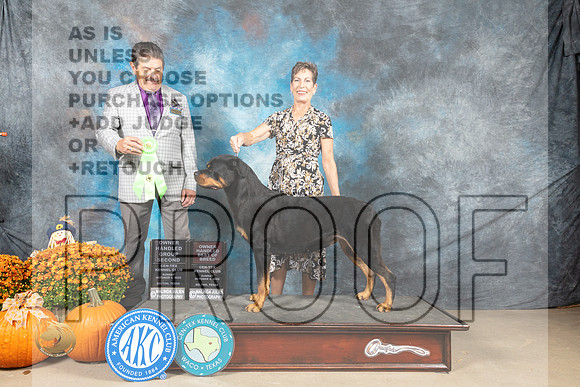 Rottweiler #8 Sun OHG2 Judge Lloyd Graser_MJ_6852_Belton_2022_HR3
