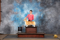 Pembroke Welsh Corgi #322 Sat NGCh Judge Brenda Landers