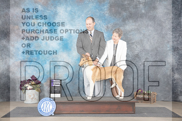 Collie Smooth #22 Su WB Judge Gloria Kerr__JP_7775_Belton_2024_HR3