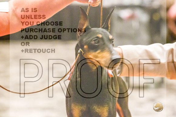 Manchester Terrier MTOY Candids-JJL_2212-Hstn2022_HR3