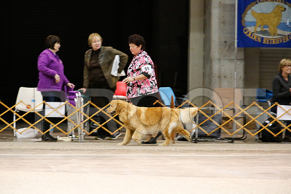 BestVet-7182-WFOct2013-HR