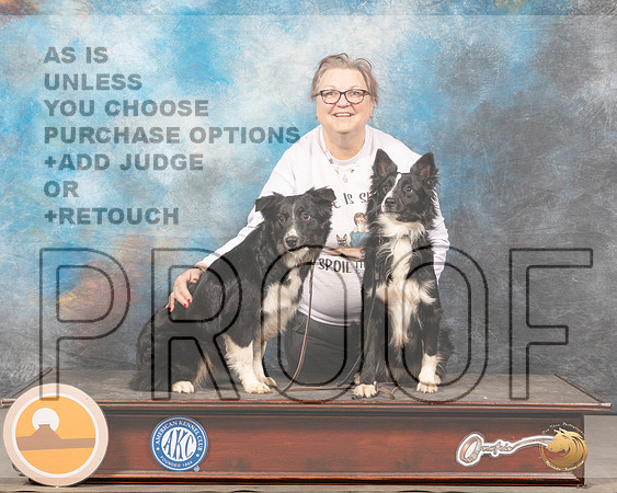 Miniature American Shepherd #16 Sat CustomMMJ_4088_Mdlnd2022_HR3