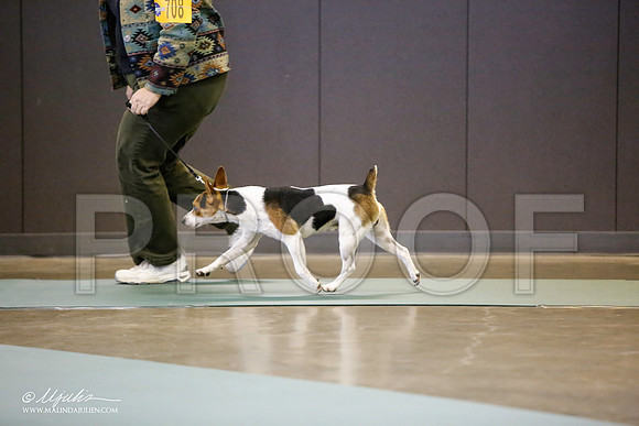 _LH_3570-BeltonJan2015-HR3