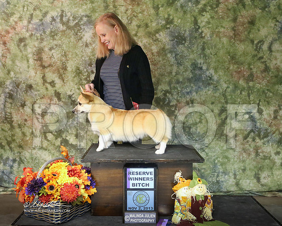 CorgPW-7478-SANov13-HR