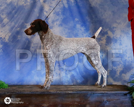 GSP-9818-HstnMar2014-HR3