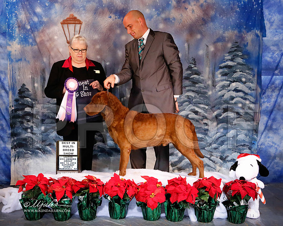 chessie-6180-MrshlDec13-HR