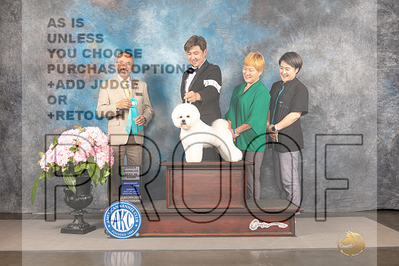 Bichon Frise #19 OHBIS Judge Tim Catterson_MJ_8501_Houston_2022_HR3