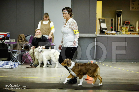 _JJ_6031-BeltonJan2015IABCA-HR3