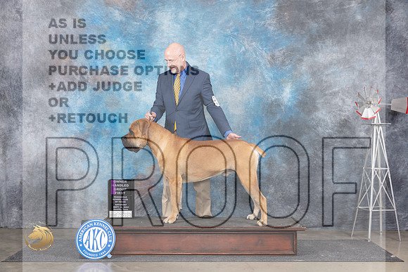 Boerboel #5 Sat OHG1 Judge Jon Cole__JP_5916_Amarillo_2024_HR3