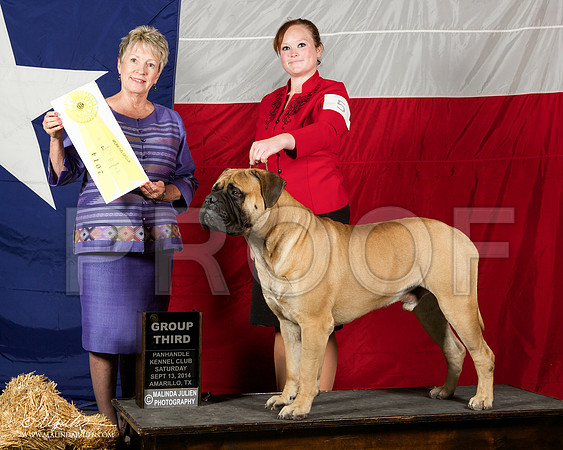 _ST_1856-AmarilloSep2014-HR3