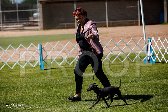 _JJ_8168-AlamogordoOct2014-HR3
